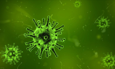 鼠尿病致死率高达70% 有人赤脚下田接触老鼠尿后进ICU