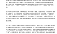  胡锡进评懂车帝辅助驾驶测试：公平公正性有保证 国产车企要敢接受不足输得起