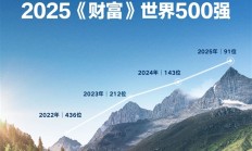 比亚迪迈入全球百强!跃居2025《财富》世界500强第91位