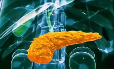 糖尿病突破！科学家成功3D打印全功能人类胰岛