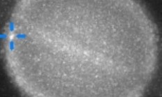 土星：我好像被一个不明物体撞了一下腰