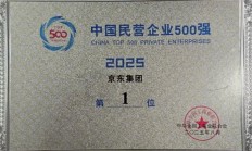 
        		连续4年中国民营企业500强第一 京东一年增加28万岗位 !	