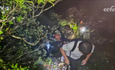 
        		2游客台风天擅入自然灾害危险区遭困：解救后每人被罚5000元 !	