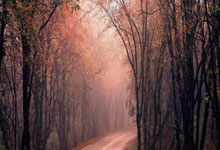 多地按套内面积售房 物业费收取是否发生改变？专家解读