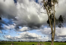 “好房子”引领房地产发展新赛道