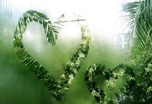 滕州4则征地公告！涉及龙泉、北辛、东沙河、木石……